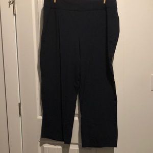 Rod & Ali dress barn pants. Petite length